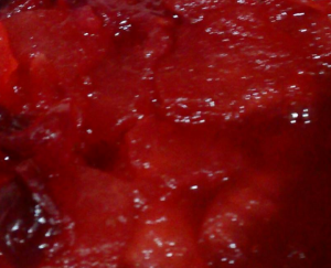 apple cranberry compote
